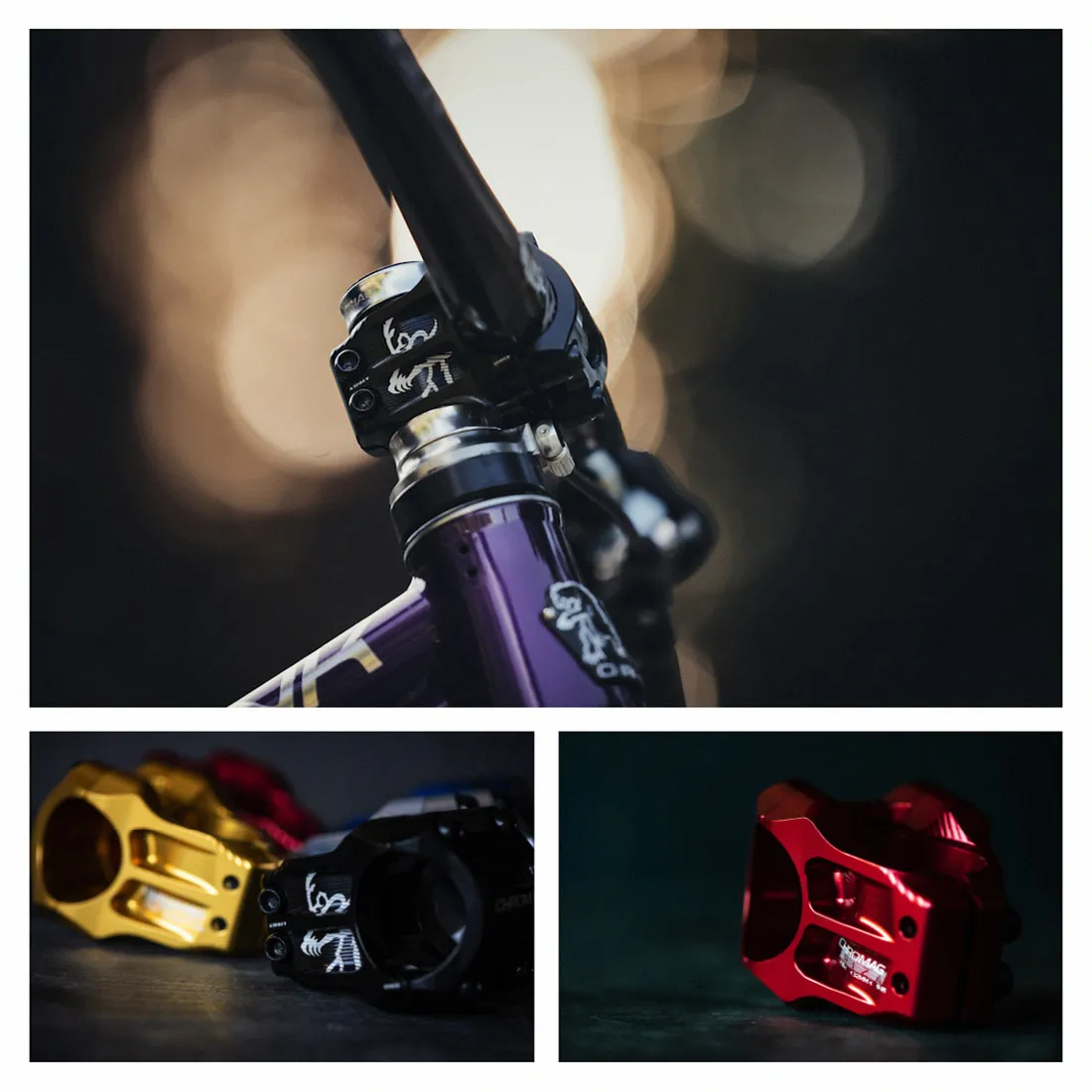 chromag-riza-35-stem-live-2