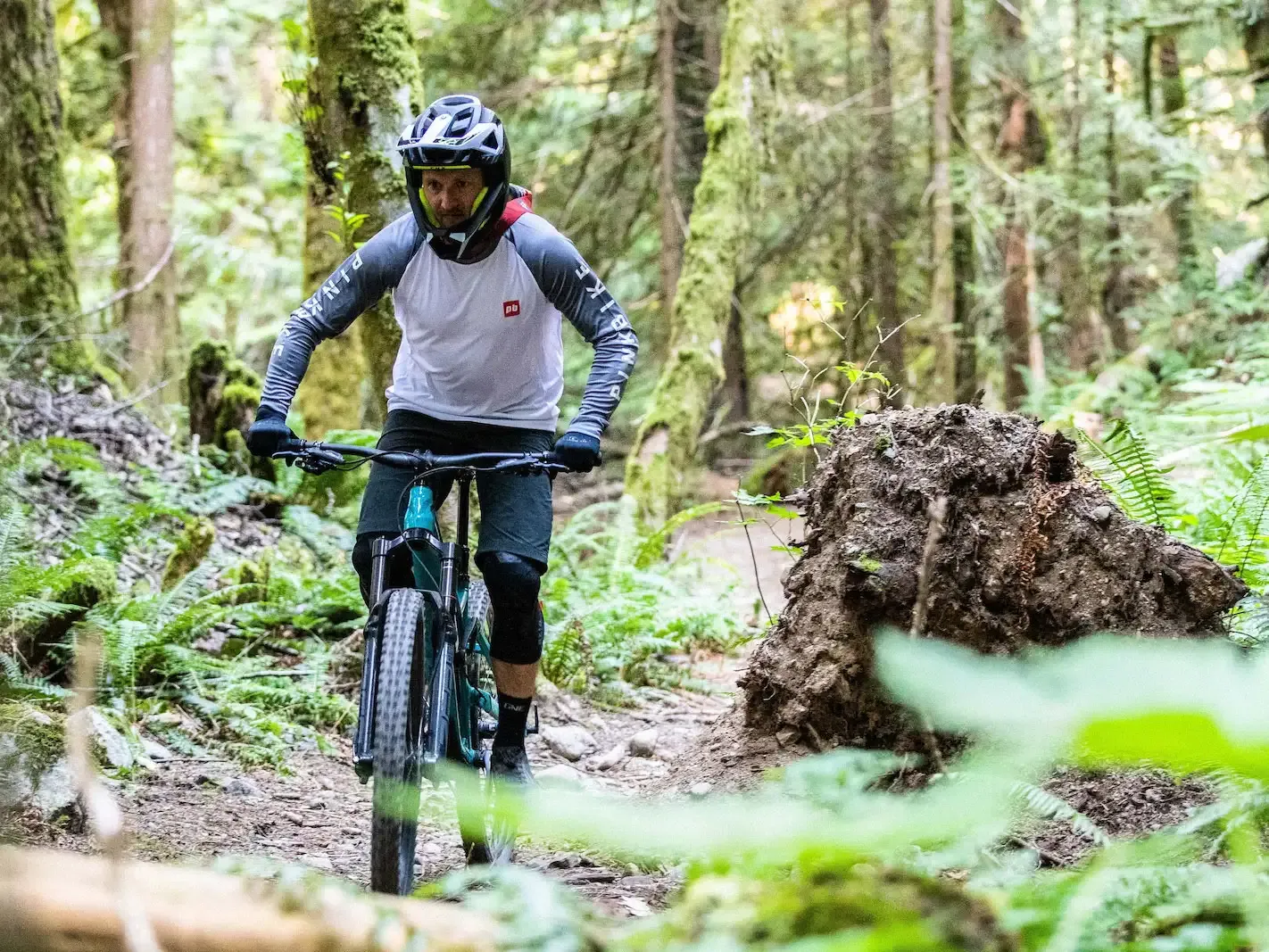 devinci-chainsaw-4