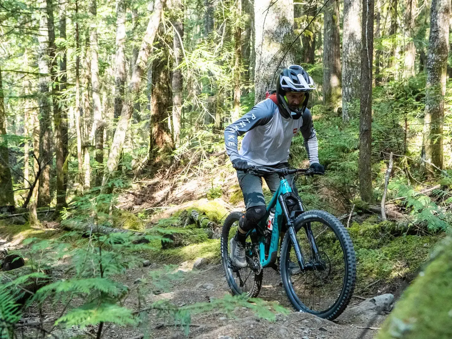 devinci-chainsaw-2