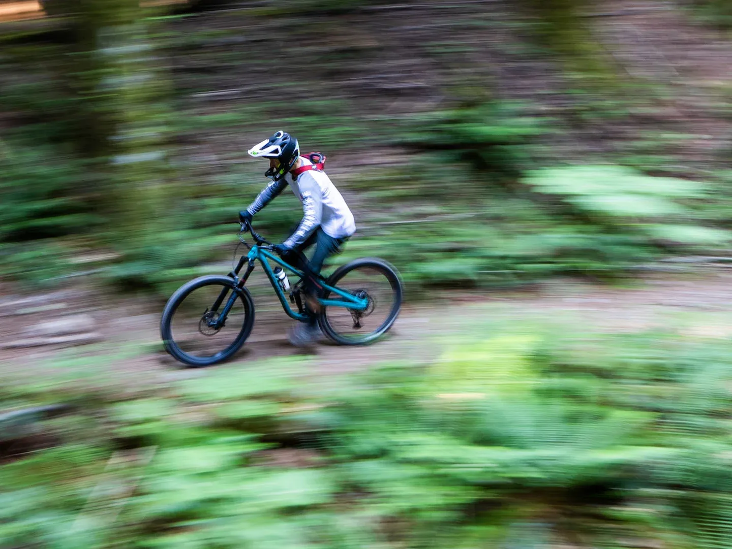 devinci-chainsaw-3