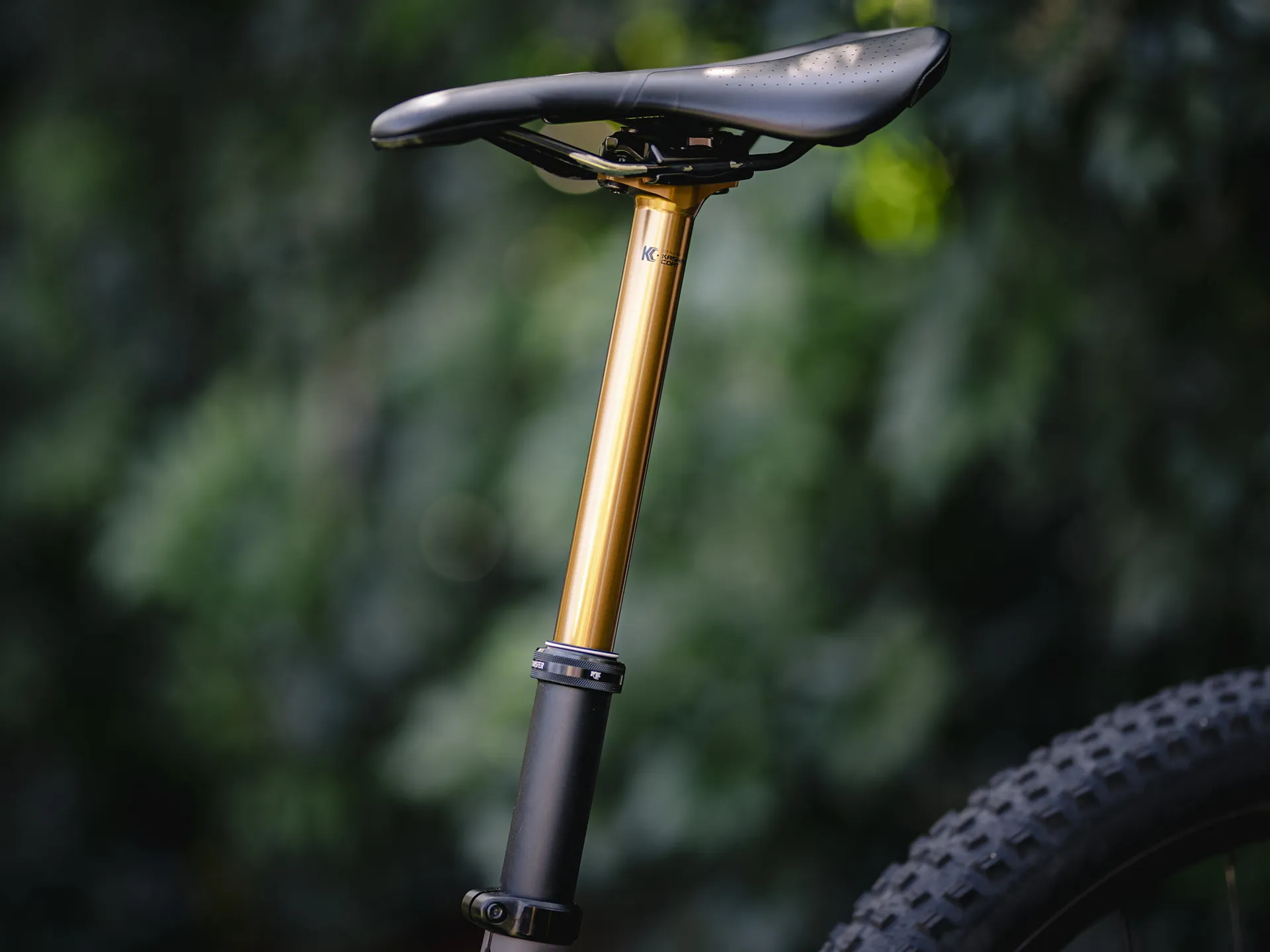 fox-transfer-2025-factory-series-kashima-dropper-p (3)