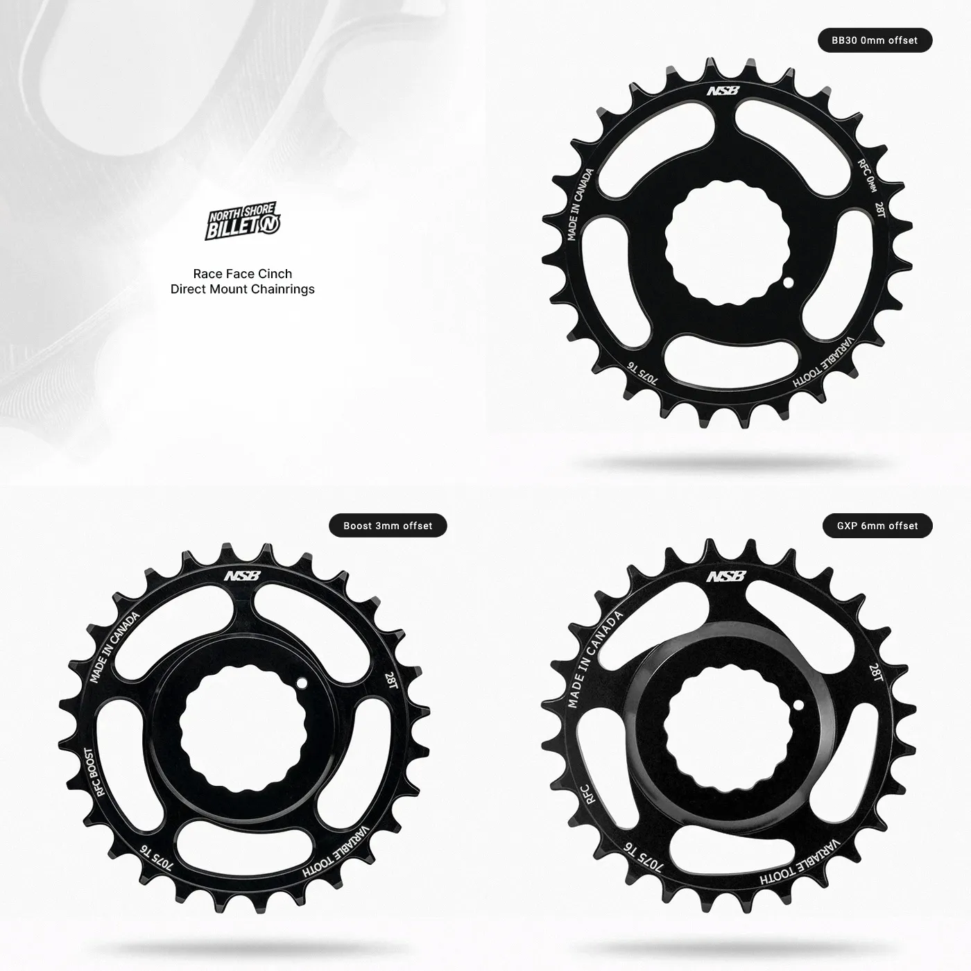 NSB Race Face Cinch Chainring 1
