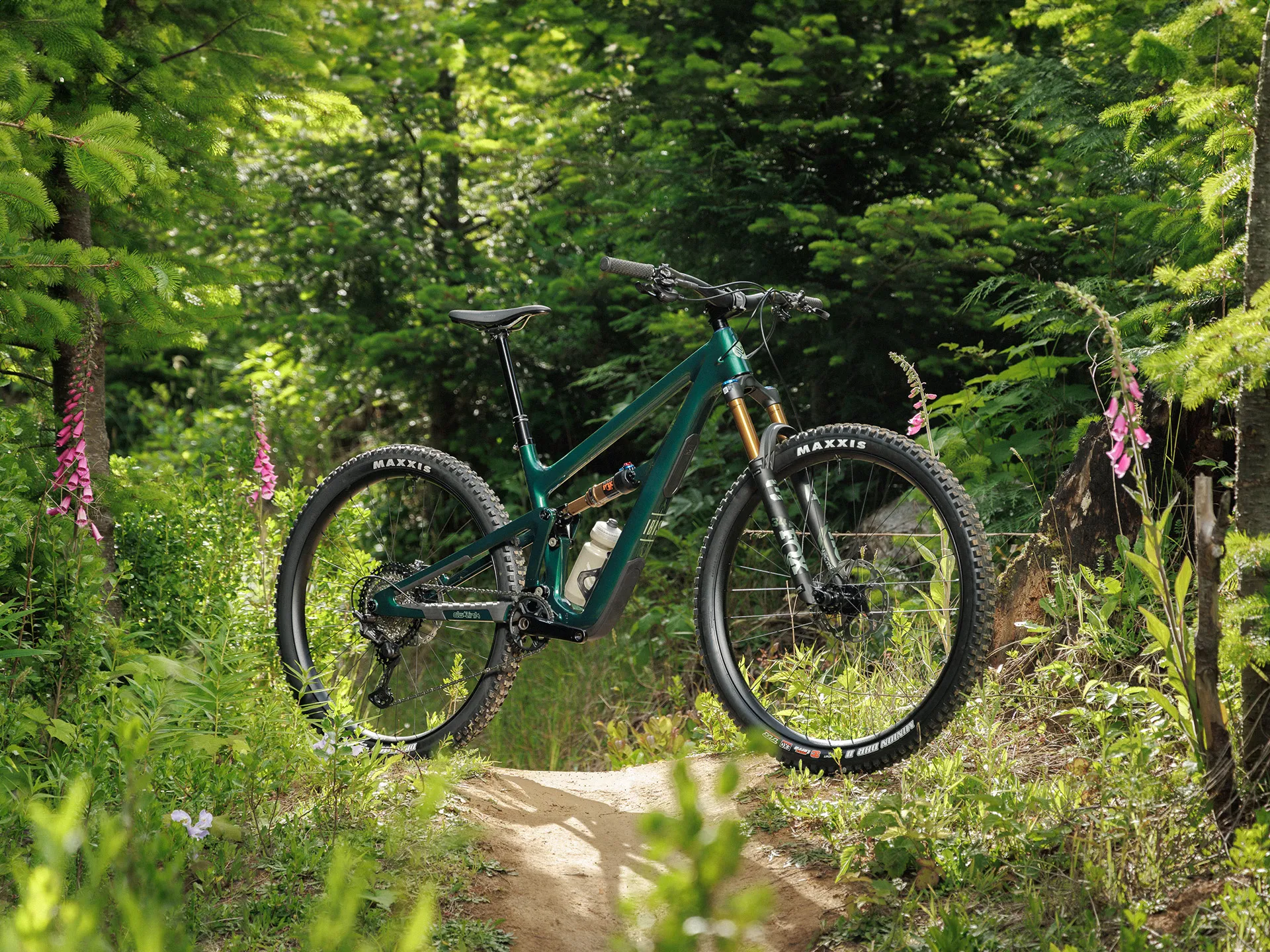 ibis-ripley-v5-green-live-outdoor