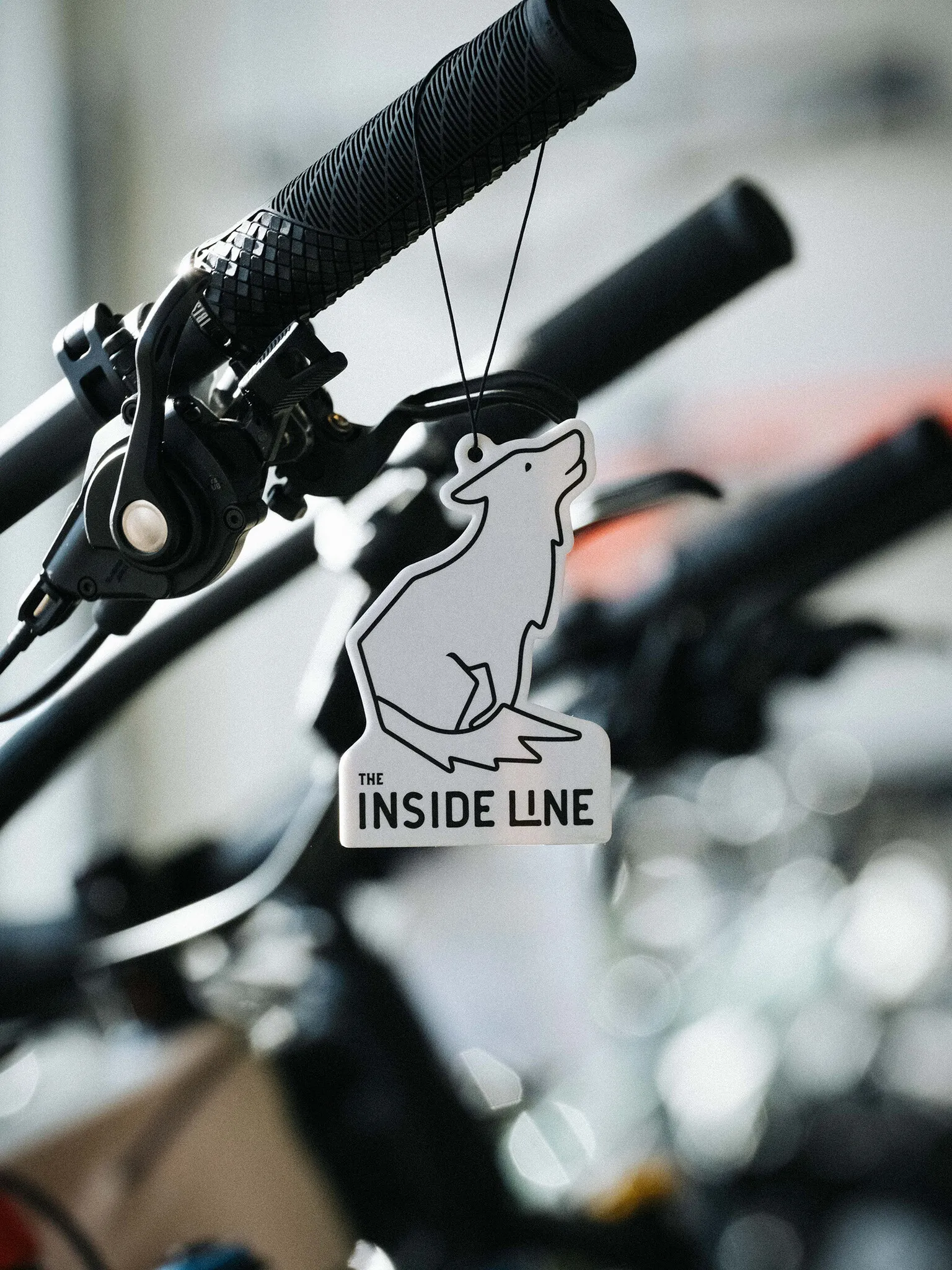 The Inside Line Air Freshener Forest Pine-3