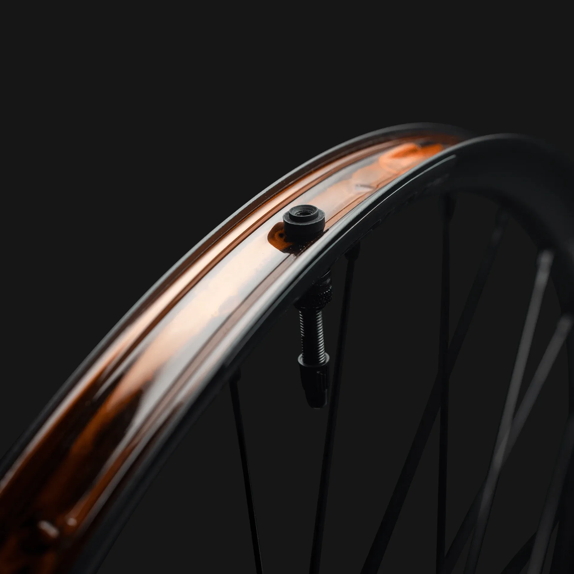 Race Face Turbine SL Wheel Front 29 4