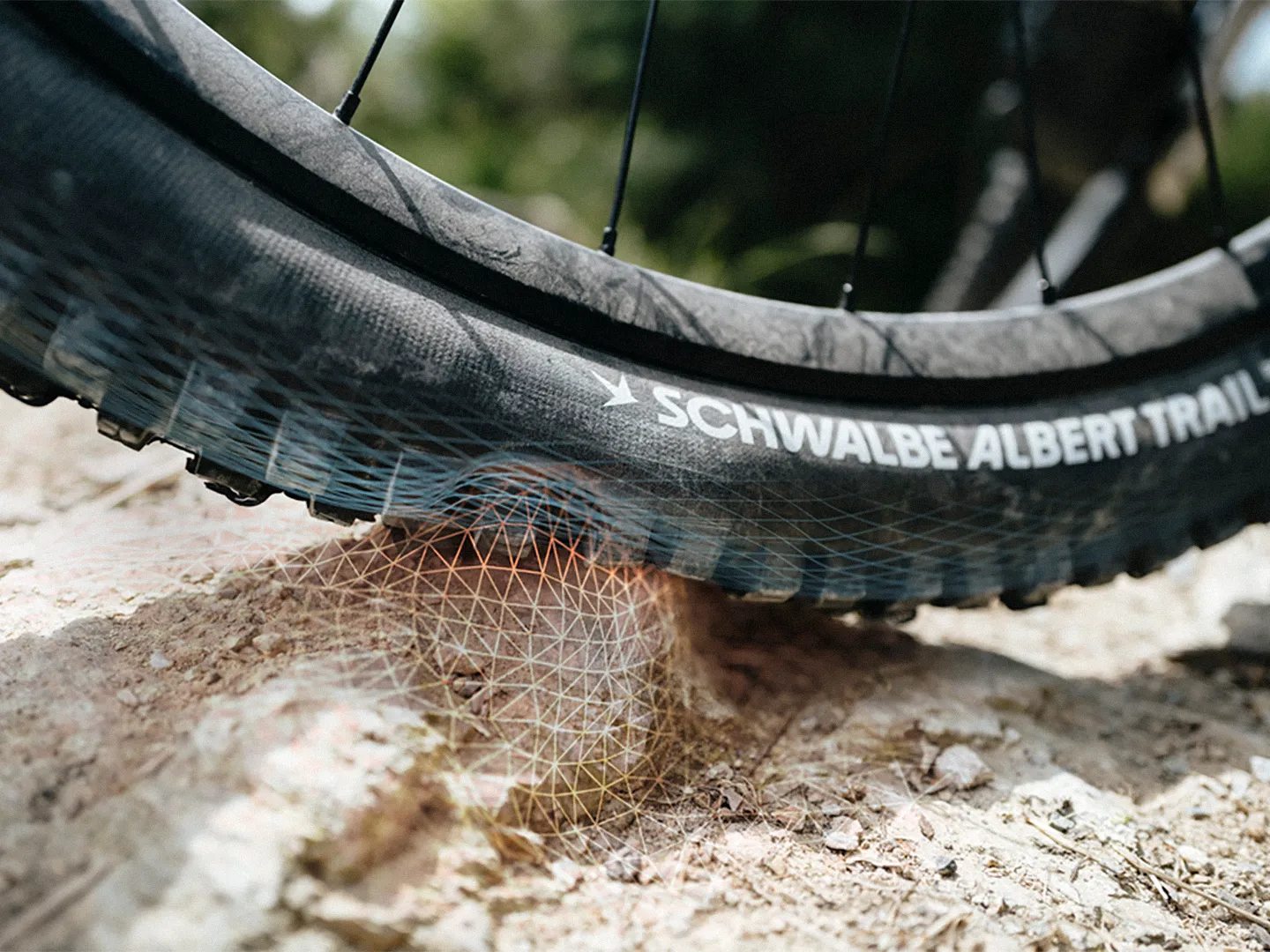schwalbe-albert-tire-29-4