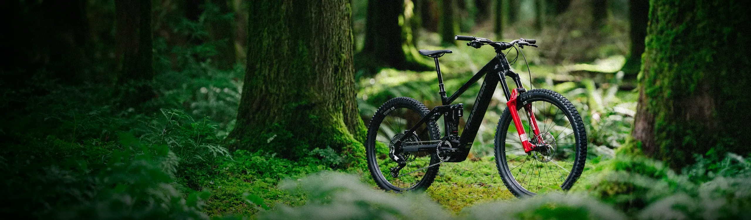 A Natural Feel