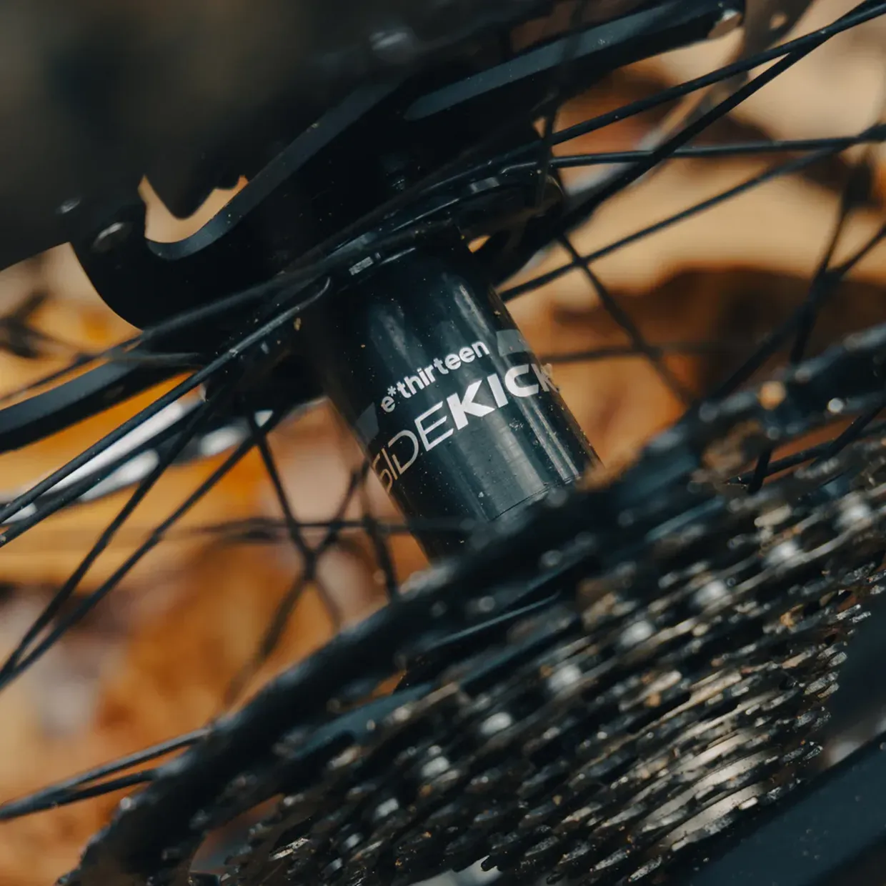 e thirteen Sidekick 2 MTB Hub Rear Live 3