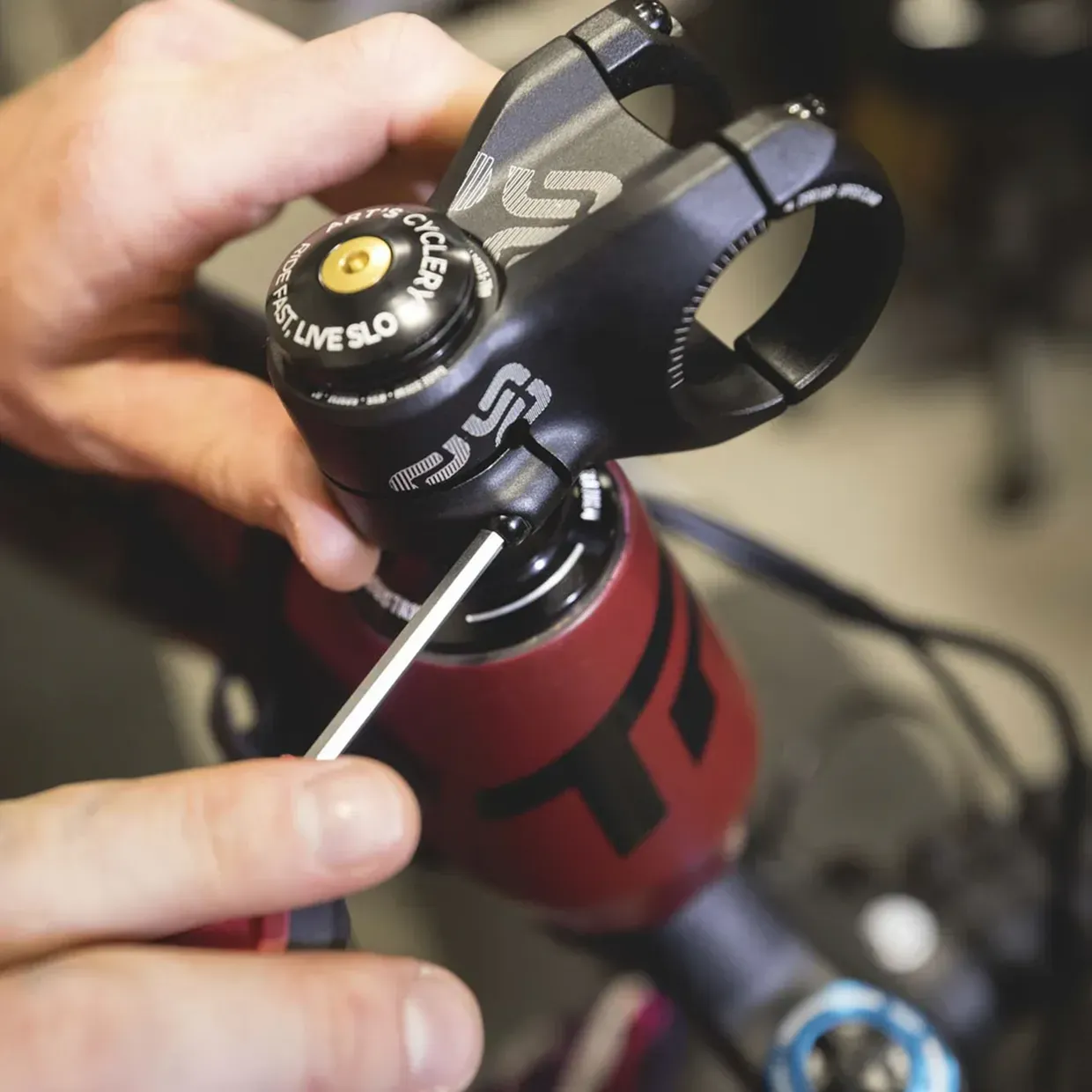 e-thirteen-base-35-stem-4