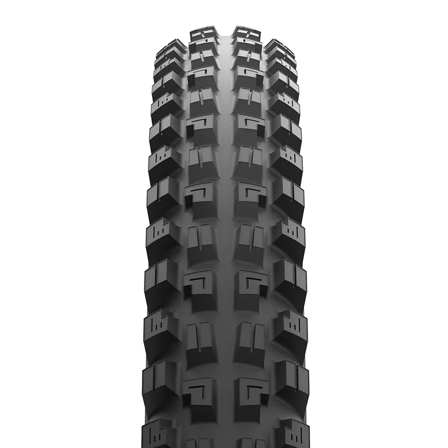 Maxxis DHX 29 2