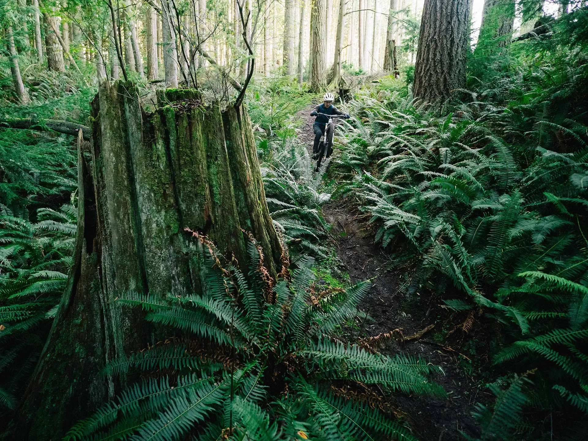 transition-sentinel-carbon-frameset-lifestyle-3