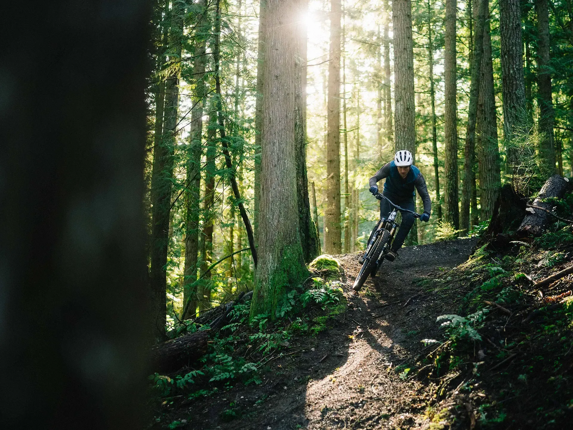 transition-sentinel-carbon-frameset-lifestyle-2