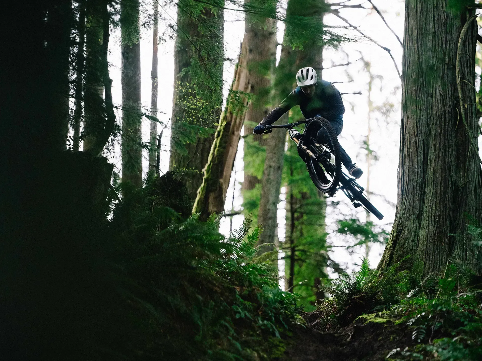 transition-sentinel-carbon-frameset-lifestyle-4