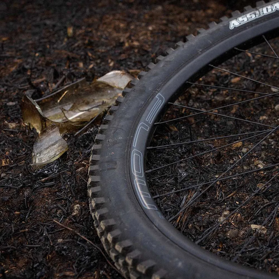 Stans NoTubes Flow MK4 Rim 5