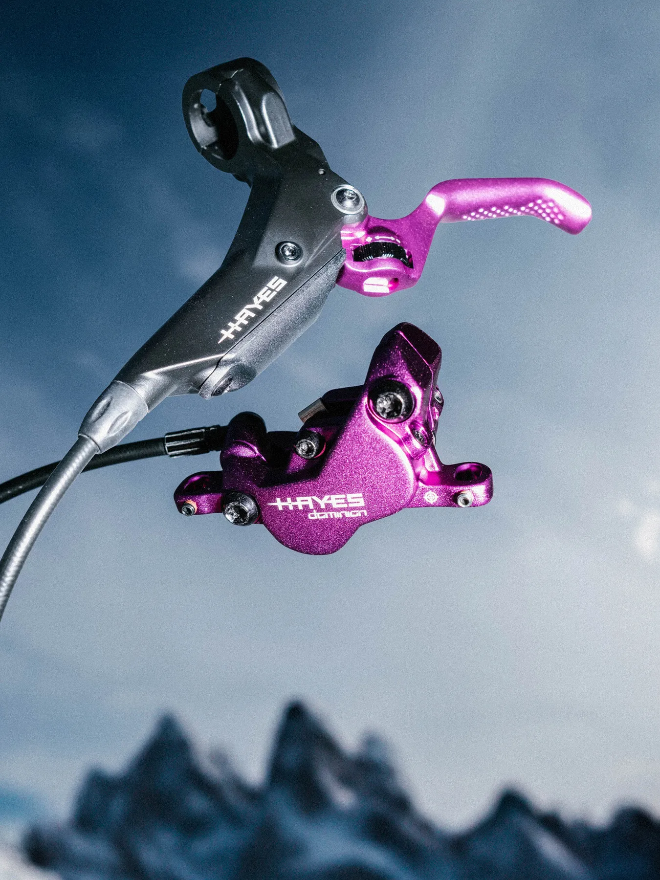 hayes-dominion-a4-brakeset-purple-live