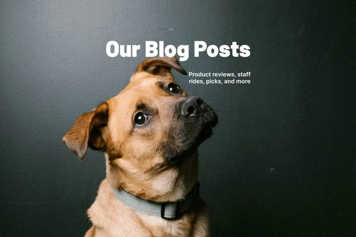 Read Blog