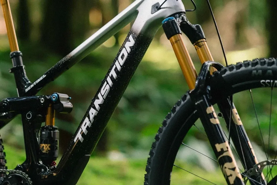 transition-sale