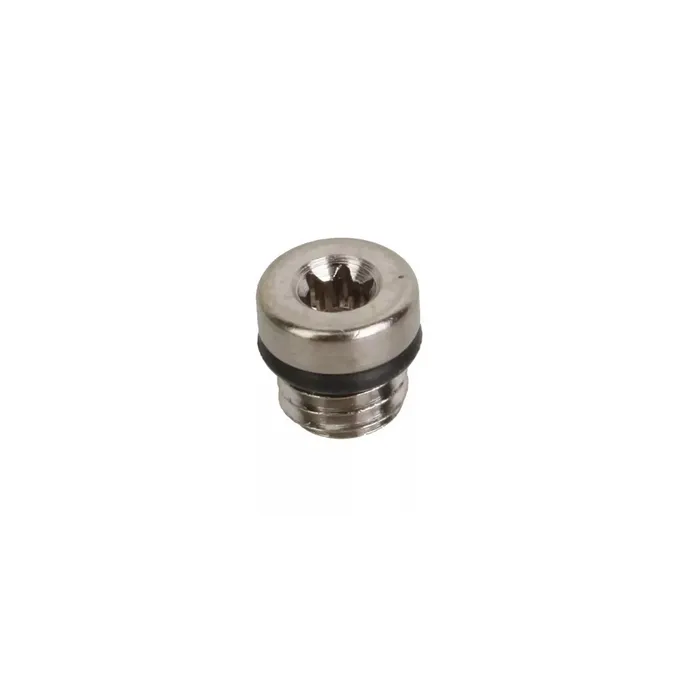 SRAM Lever Bleed Screw EACH (x1)