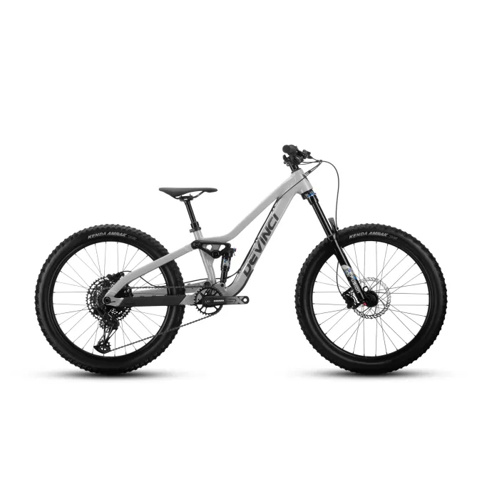 Devinci Ewoc FS