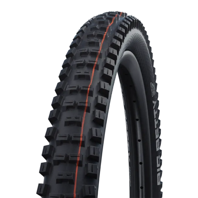 Schwalbe Big Betty 29 1