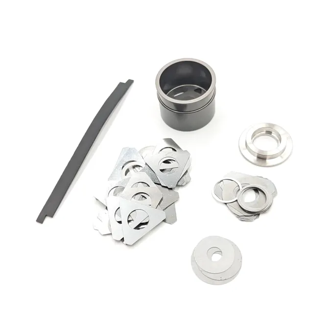 WPS Podium Piston Kit - RS Vivid